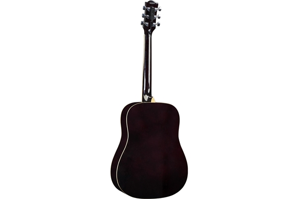 Eko Guitars - Ranger Nat Visual Note