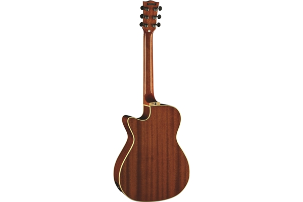 Eko Guitars - One A150ce Vintage Burst