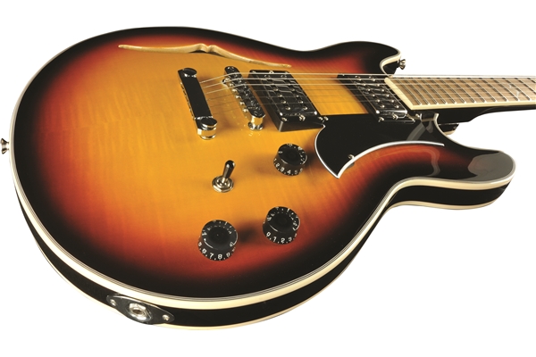 Eko Guitars - MIA SA Vintage Sunburst
