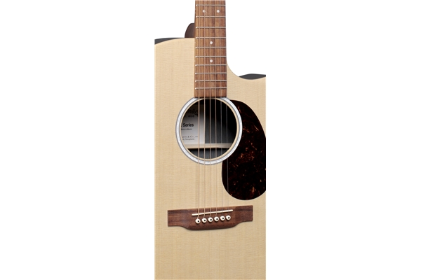 Martin & Co. - GPC-X2E-02 Palissandro X Series