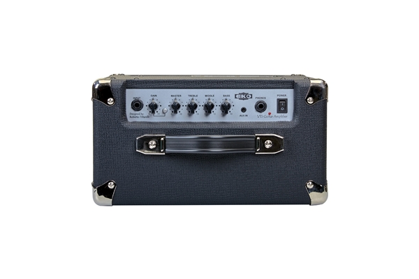 Eko Guitars - V 15