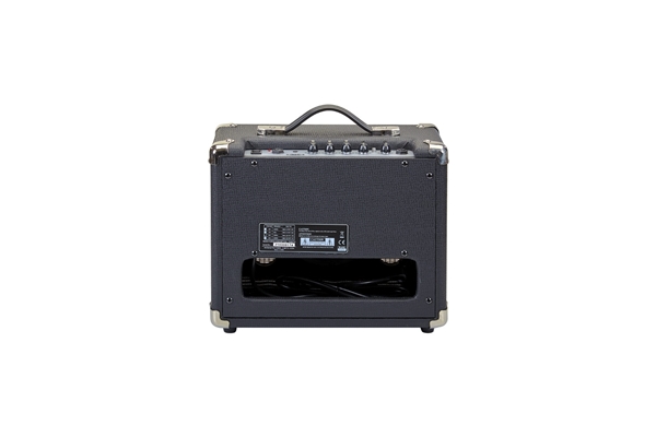 Eko Guitars - V 15