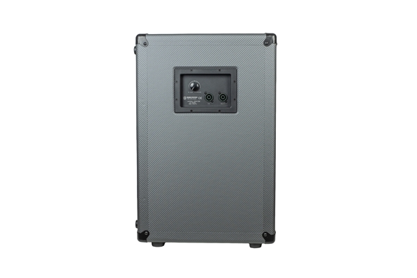Darkglass - DG210N 2x10
