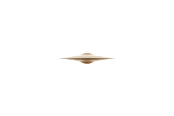 Zildjian - A0113-12