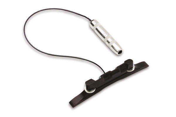 Fishman - M-100 Pickup Mandolino