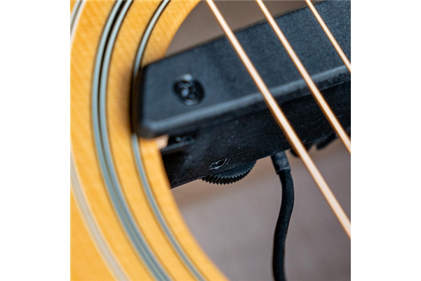 Fishman - Rare Earth Soundhole Humbucking Pickup (PRO-REP-102)