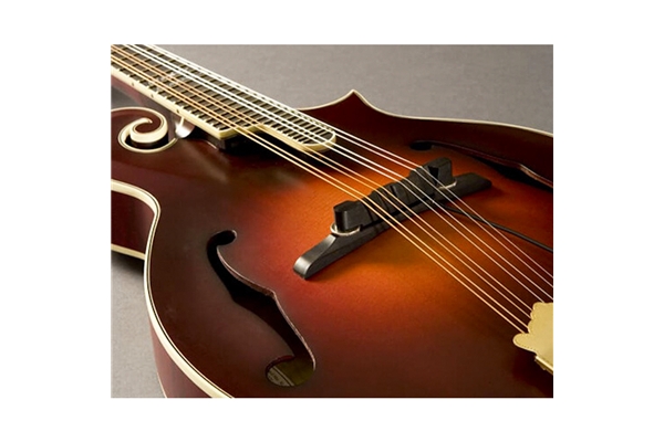 Fishman - Nashville Archtop M-300 Mandolin Pickup (PRO-M30-0MA)
