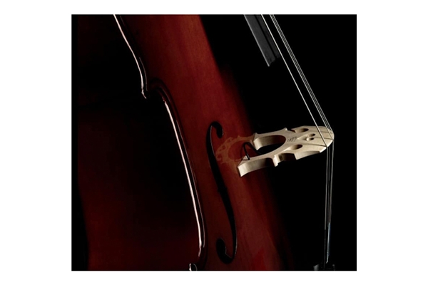 Fishman - C-200 Pickup Violoncello (PRO-C20-0CE)