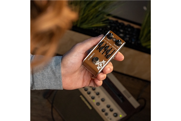 Fishman - AFX Pro EQ Mini PRO-AFX-EQ2 Equalizzatore