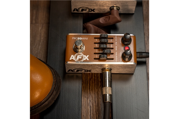 Fishman - AFX Pro EQ Mini PRO-AFX-EQ2 Equalizzatore