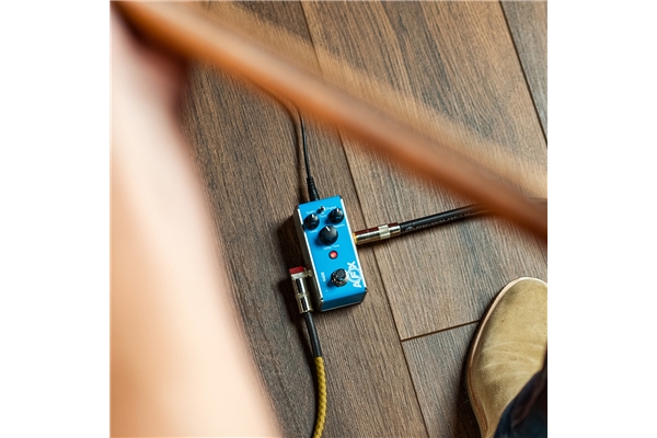 Fishman - AFX EchoBack Mini PRO-AFX-DL2 Delay