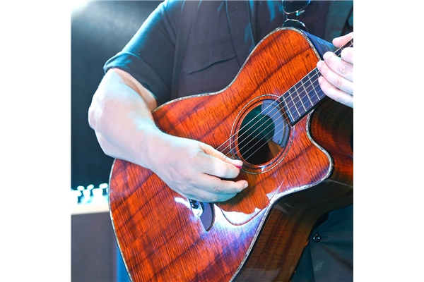 Fishman - Fluence Acoustic Rock Icon Guitar Pickup (PRO-FLA-RR1) Fishman - Fluence Acoustic Rock Icon Guitar Pickup (PRO-FLA-RR1)