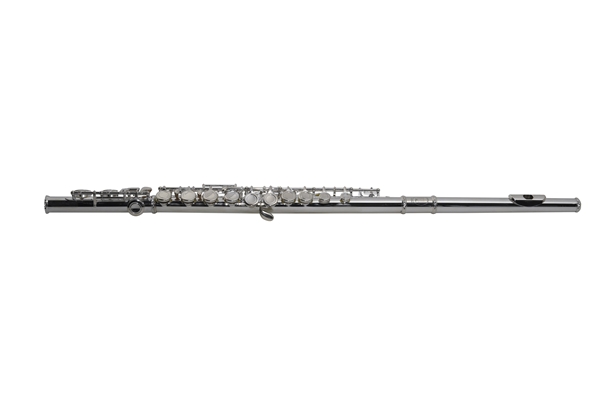 SML Paris - VSM FL300E