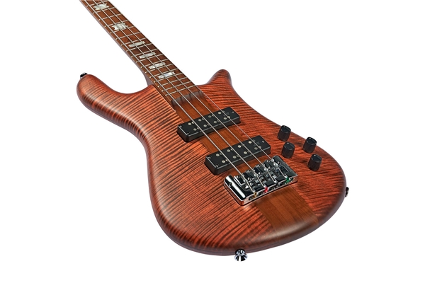 Spector - NS Euro 4 Sienna Stain Matte