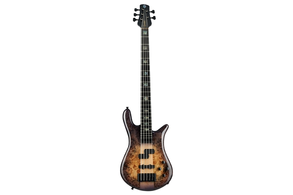 Spector - Euro 5 CST - Nat Violet Burst Gloss