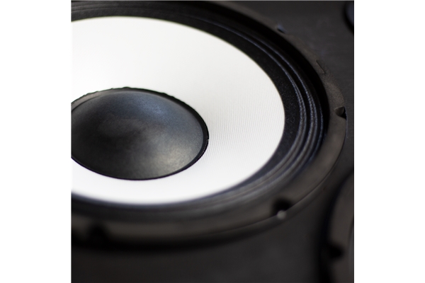 Ashdown - RM-210T-EVO II