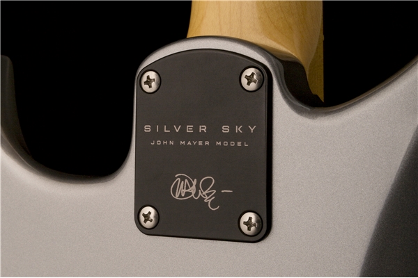 PRS - Silver Sky Tungsten Rosewood