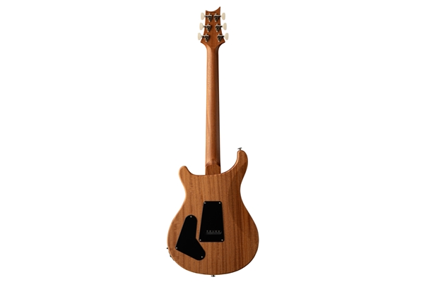 PRS - S2 Special Semi-Hollow Reclaimed Limited Edition PRS - S2 Special Semi-Hollow Reclaimed Limited Edition