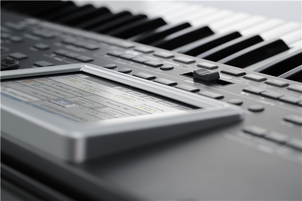 Korg - PA3X LE