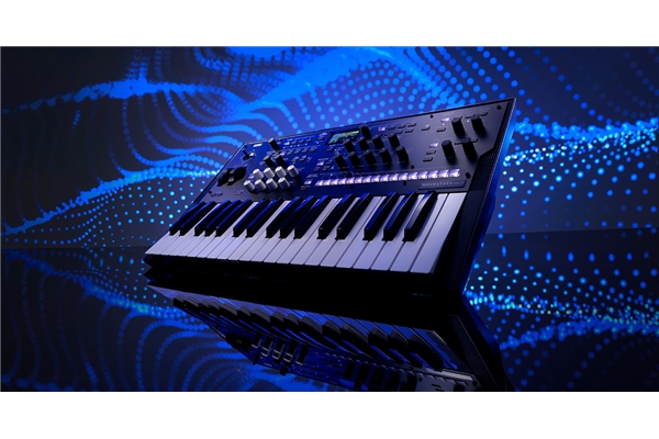 Korg - WAVESTATE MKII