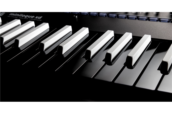 Korg - MINILOGUE-XD inverted