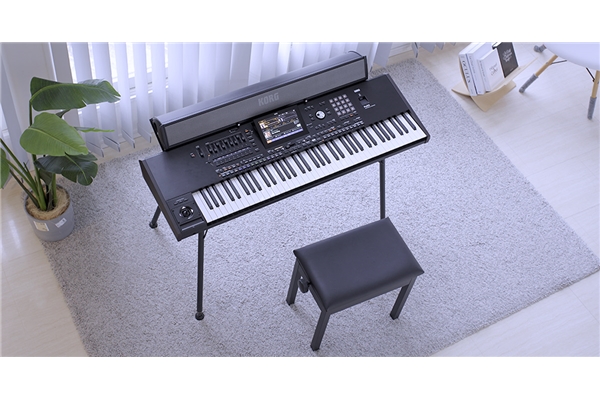 Korg - PAAS 2
