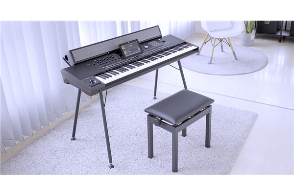 Korg - PAAS 2