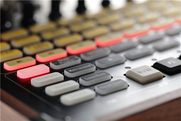 Korg - KR-55 PRO