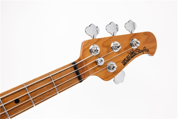 Music Man - StingRay Special Translucent Oxblood