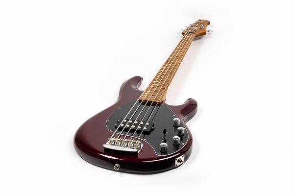 Music Man - StingRay Special 5 H Translucent Oxblood