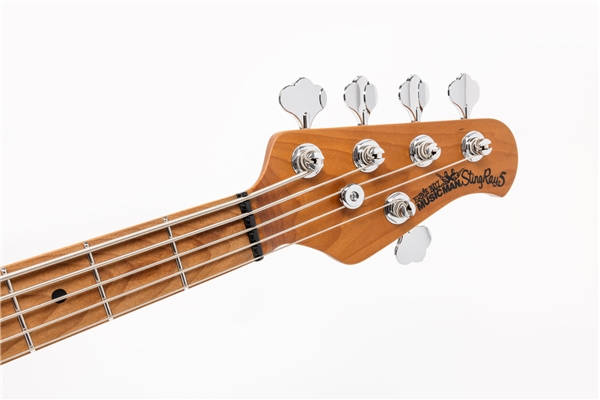 Music Man - StingRay Special 5 H Translucent Oxblood