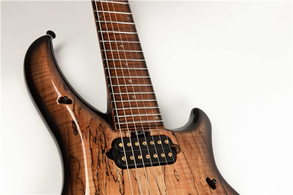 Music Man - Majesty 7 Spalted Top Spice Melange