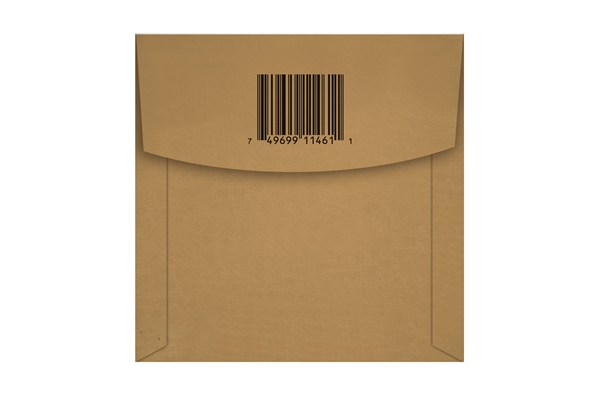 Ernie Ball - 1461 Earthwood Phosphor Bronze Wound Bass .110