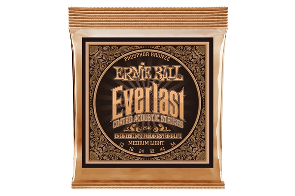 2546 Everlast Coated Phosphor Bronze Medium Light 12-54