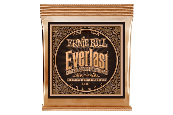 2548 Everlast Coated Phosphor Bronze Light 11-52