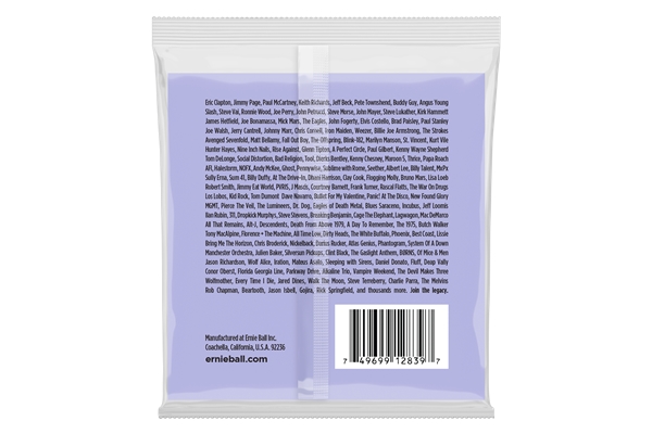 Ernie Ball - 2839 Nickel Wound