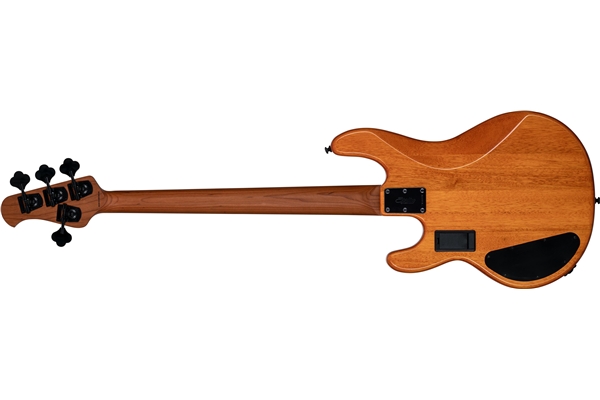Sterling by Music Man - StingRay HH RAY34HH Poplar Burl Amber
