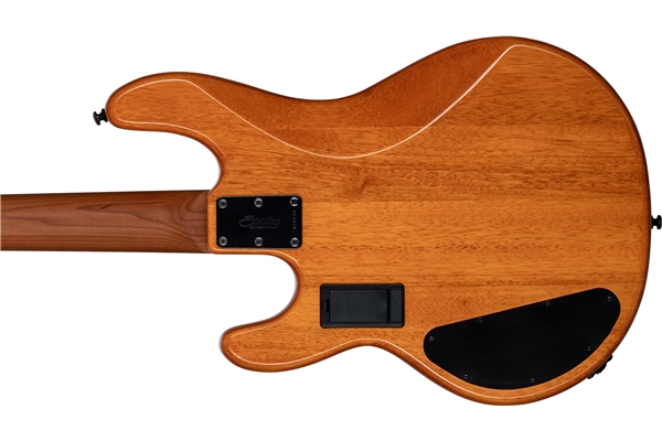 Sterling by Music Man - StingRay HH RAY34HH Poplar Burl Amber