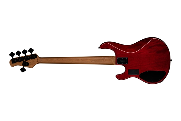 Sterling by Music Man - RAY35HH Spalted Maple Blood Orange Burst
